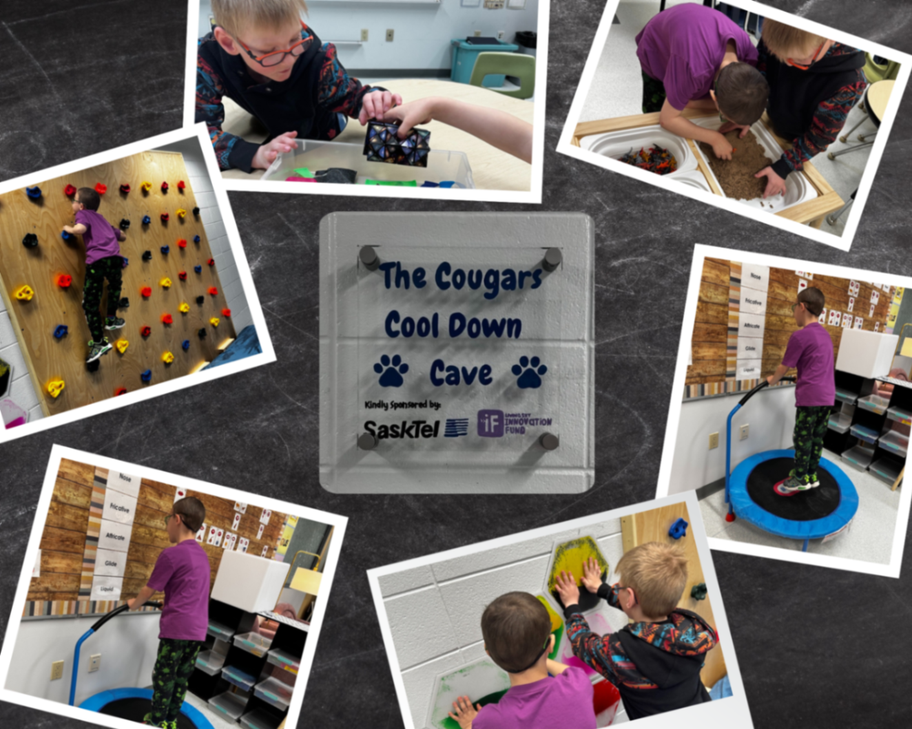 Cougar Cool Down Cave Photo Collage